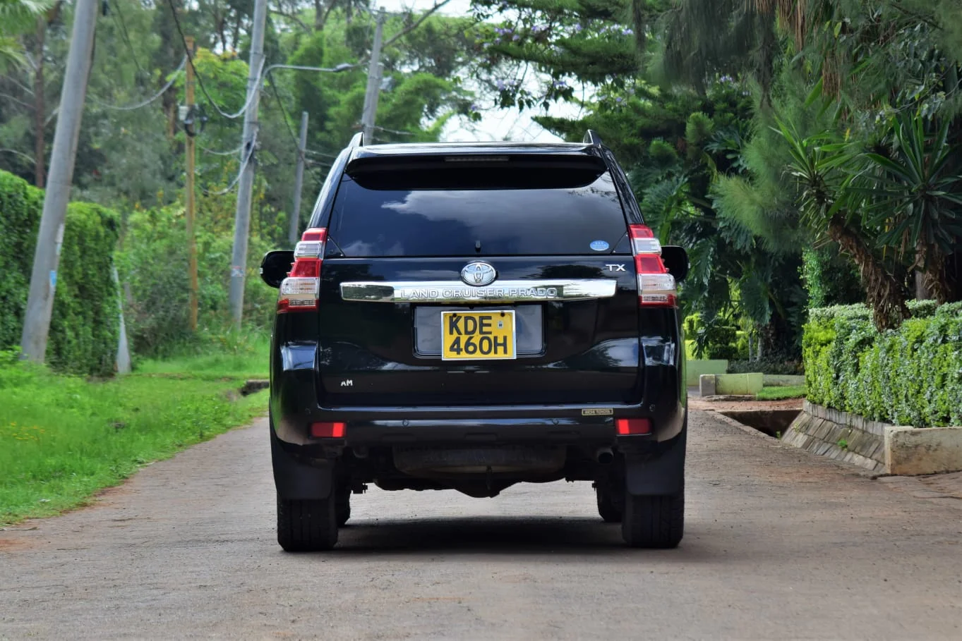 Rear view of the Toyota Landcruiser Prado