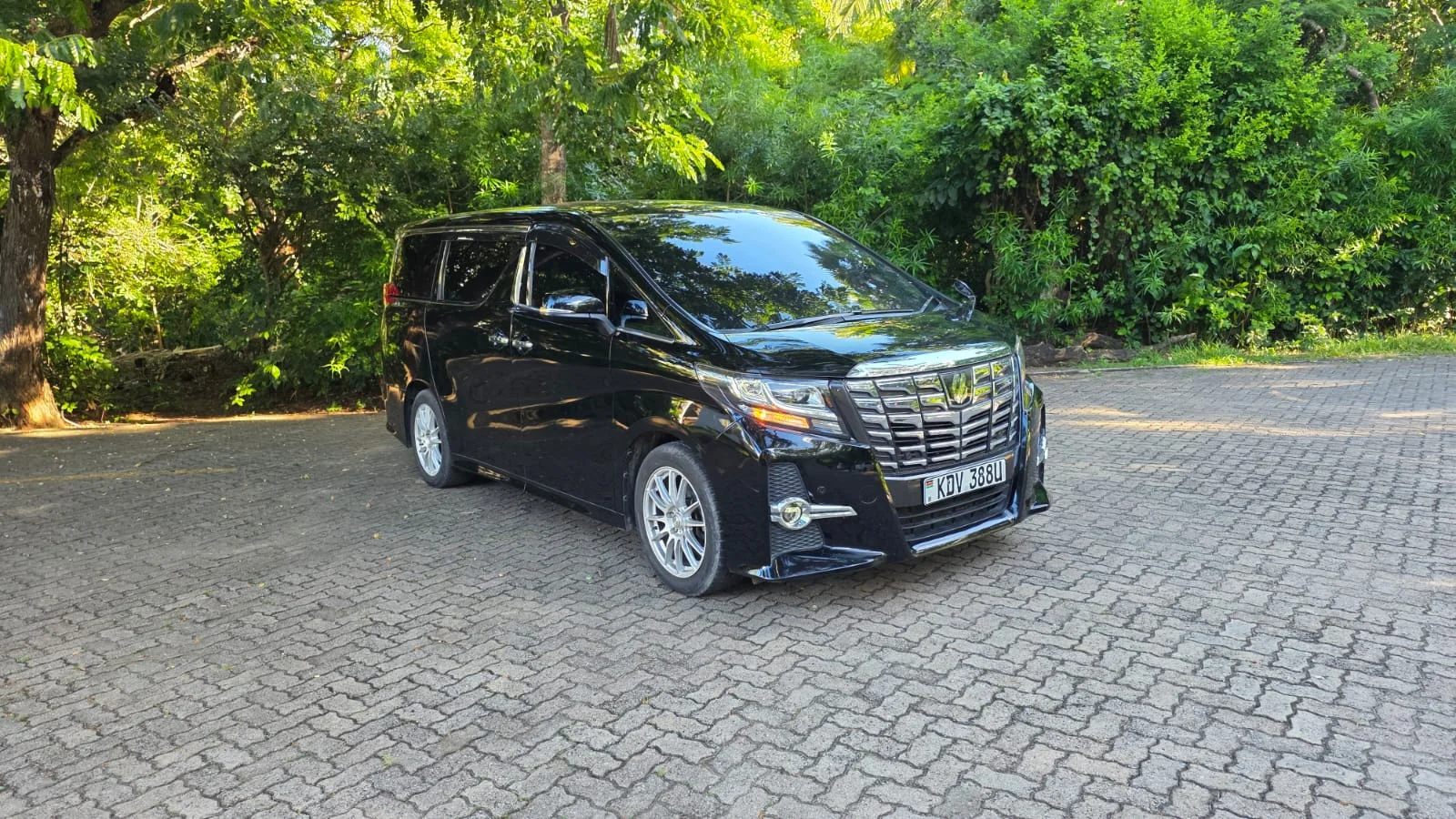Front view of the Toyota Alphard